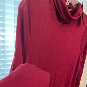 Maroon turtleneck long sleeve dress